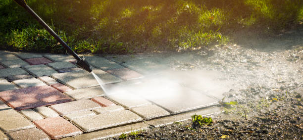 Best Residential Pressure Washing in Roosevelt, NJ
